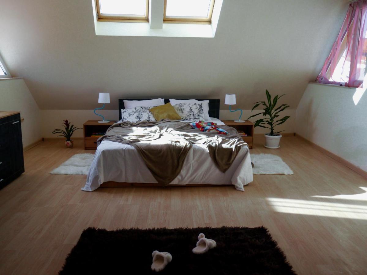 Altavista Mountain Apartment Samokov Exteriér fotografie