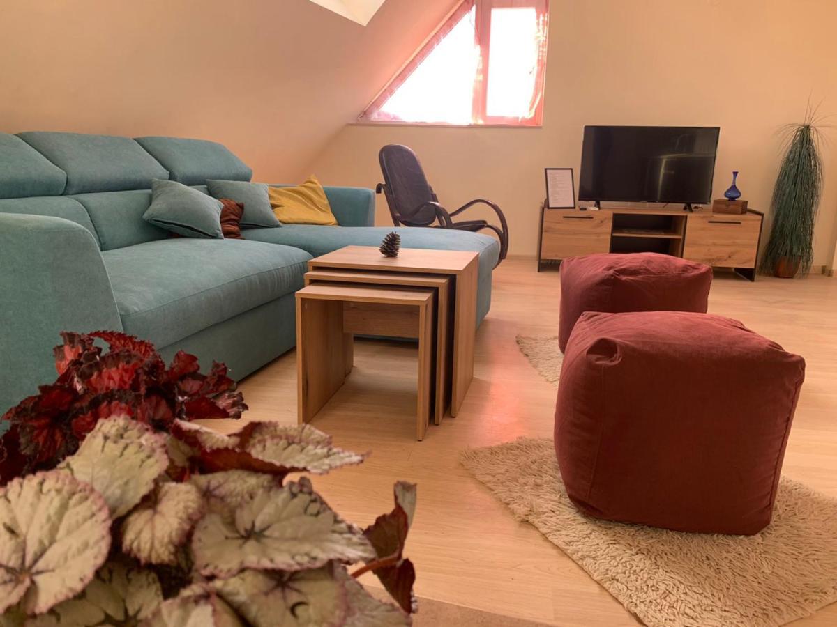 Altavista Mountain Apartment Samokov Exteriér fotografie